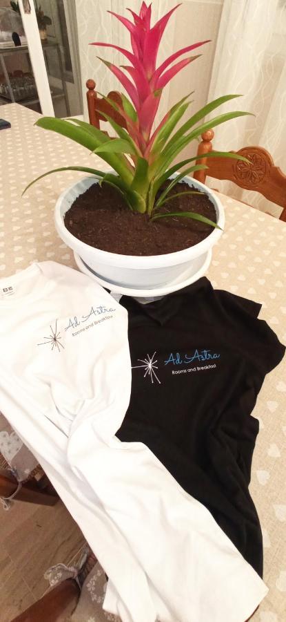 ראבנה Ad Astra Rooms מראה חיצוני תמונה